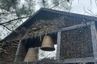 На Дніпропетровщині створили готель для комах, щоб рятувати сад