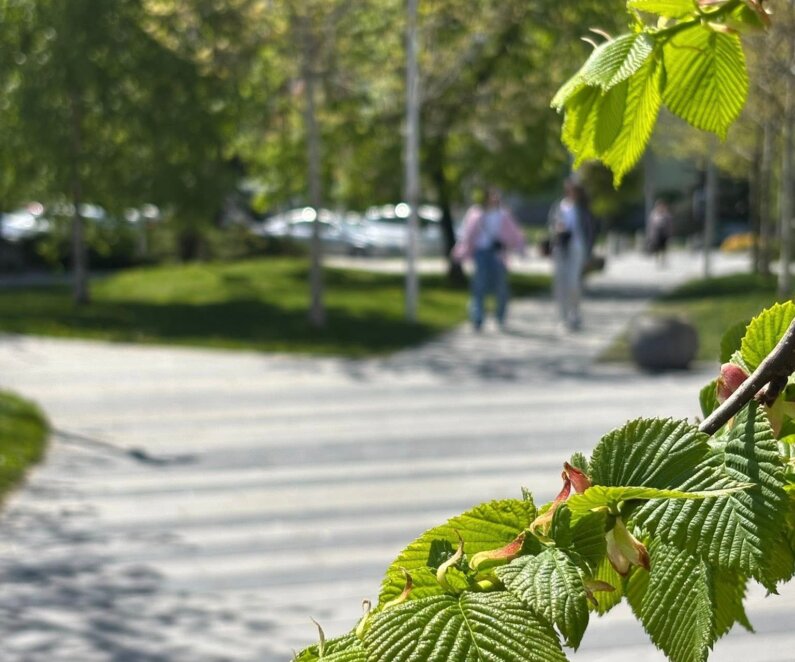 Як виглядає сквер ім. О. Хільського у Дніпрі у травні 2026- Наше Місто