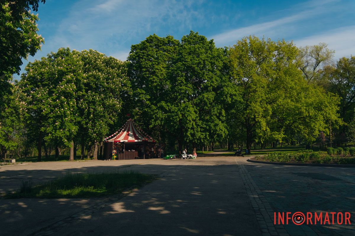 у парку Шевченка зацвіли каштани