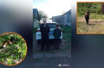 у Дніпропетровській області кінологи допомогли розшукати 12-річного хлопця