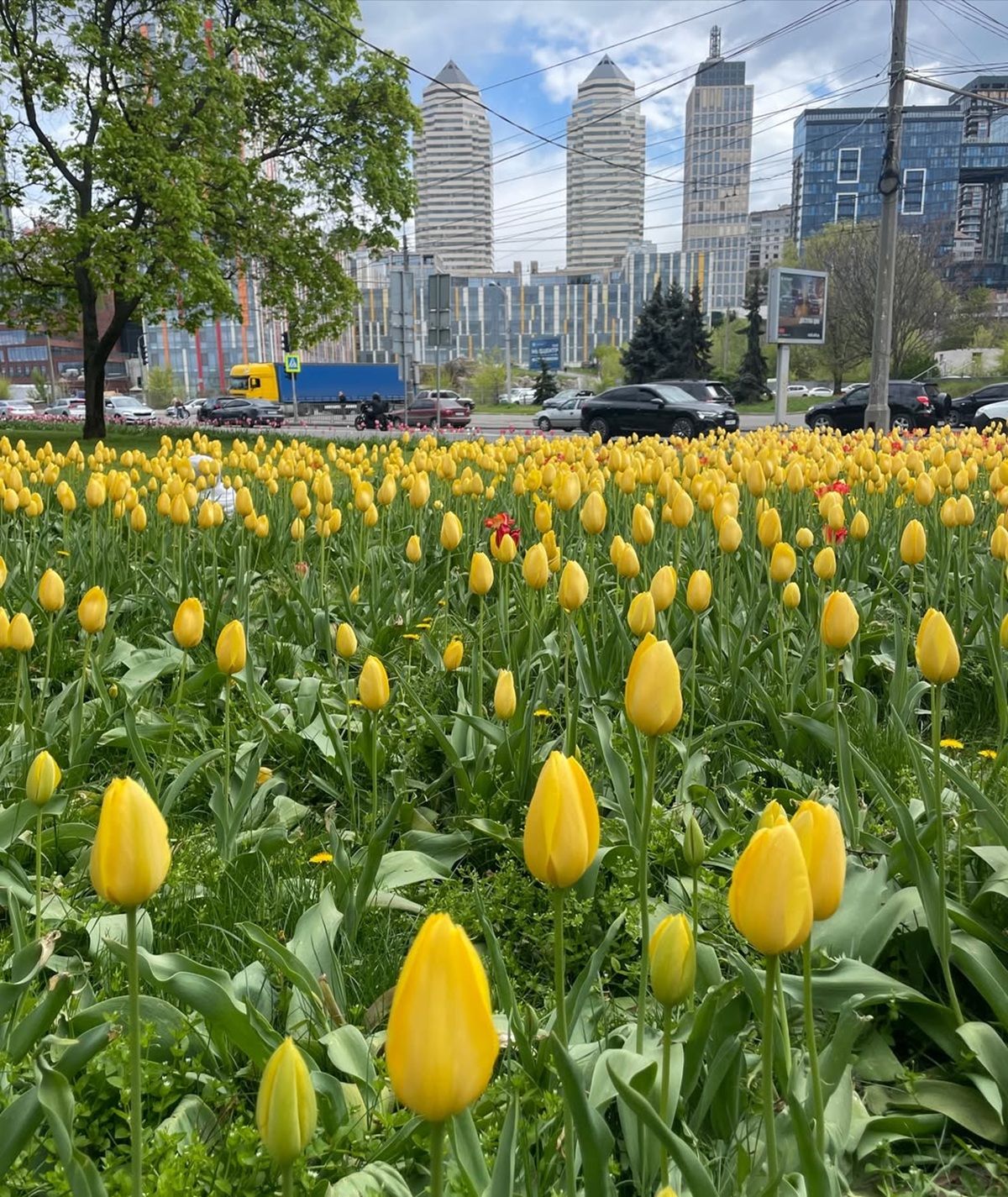 топ красивих світлин міста з Instagram