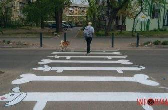 У Дніпрі у сквері Усачова з'явився пішохідний перехід у вигляді собак та кісточок