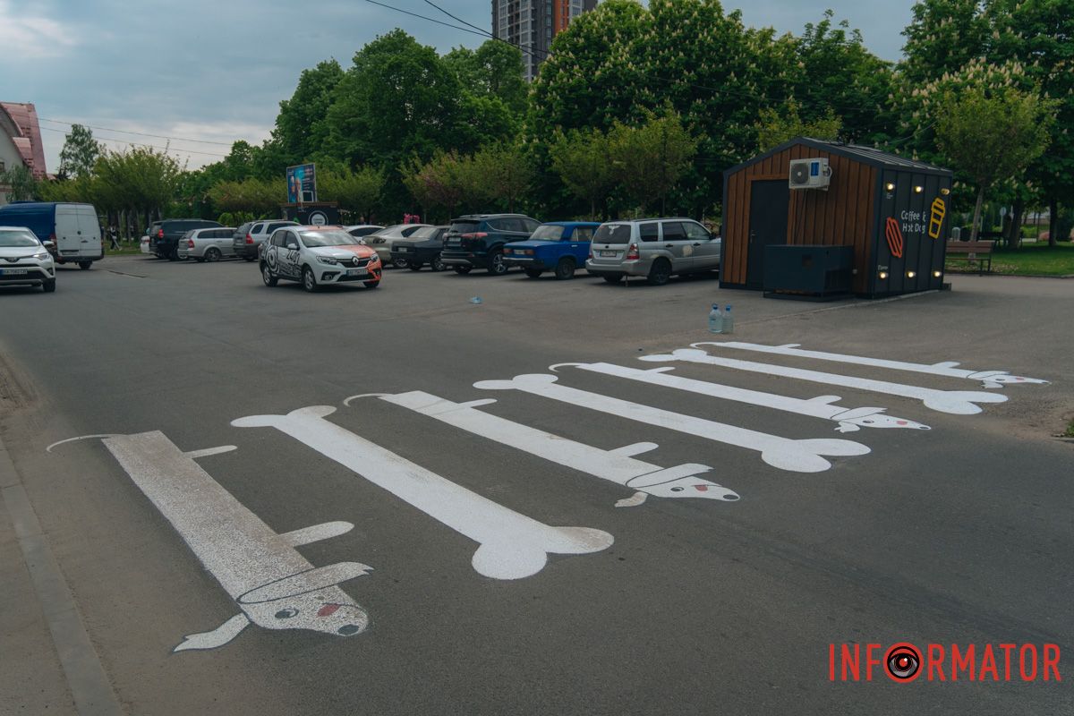 У Дніпрі у сквері Усачова з'явився пішохідний перехід у вигляді собак та кісточок