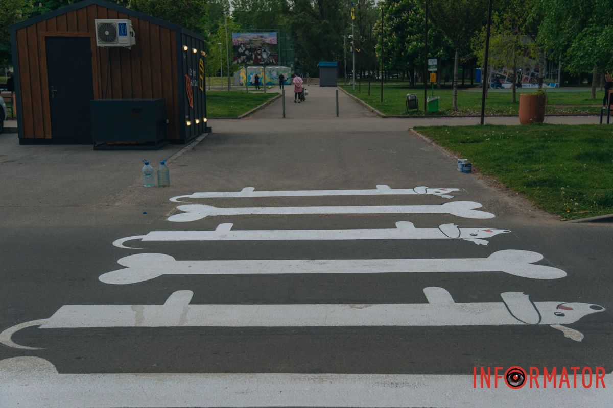 У Дніпрі у сквері Усачова з'явився пішохідний перехід у вигляді собак та кісточок