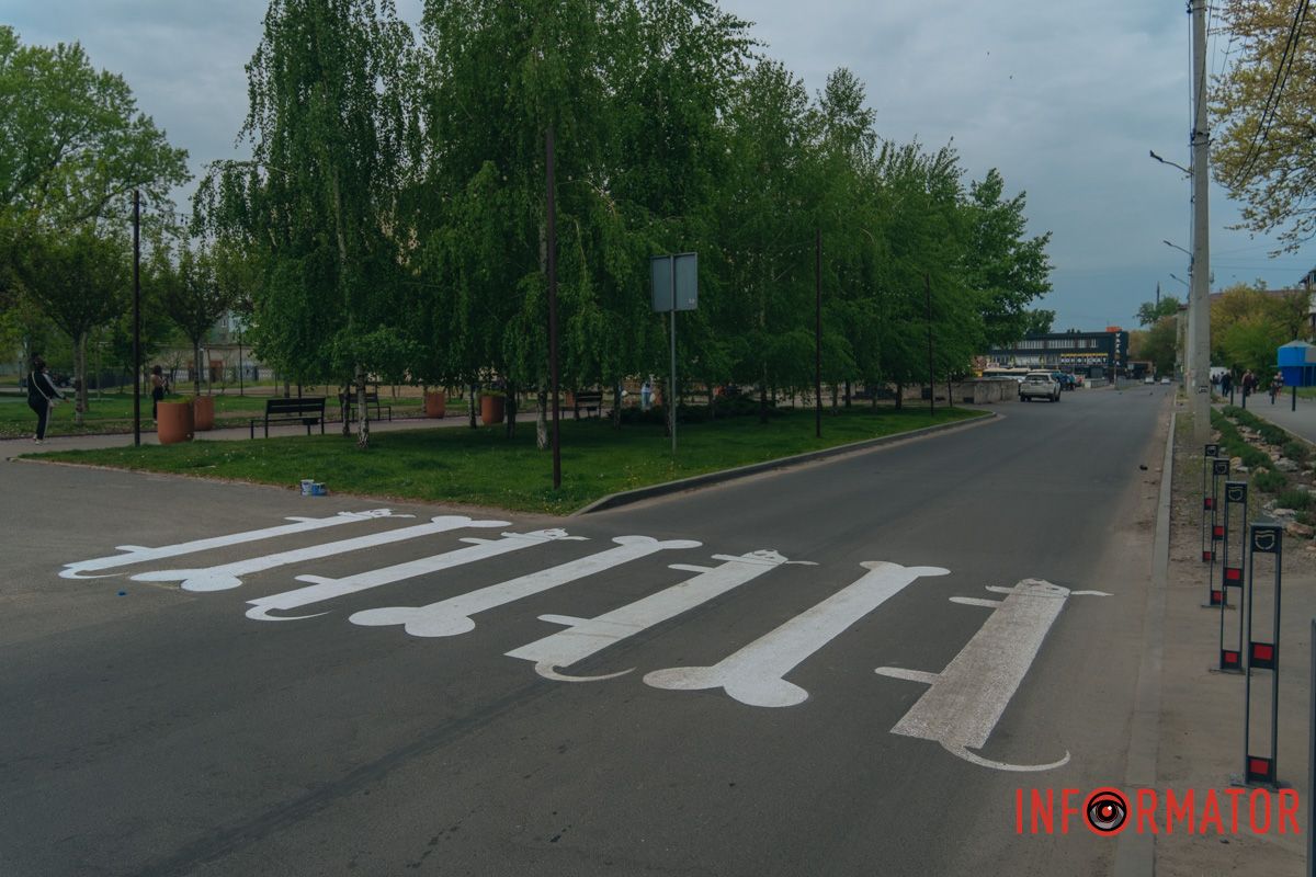 У Дніпрі у сквері Усачова з'явився пішохідний перехід у вигляді собак та кісточок