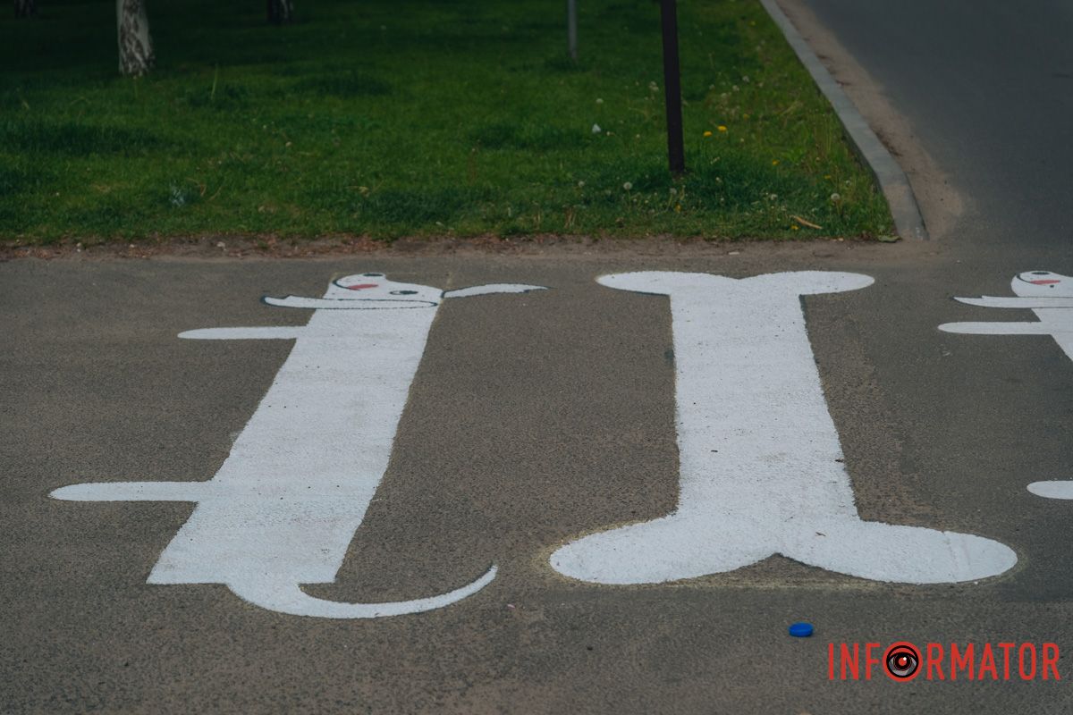 У Дніпрі у сквері Усачова з'явився пішохідний перехід у вигляді собак та кісточок