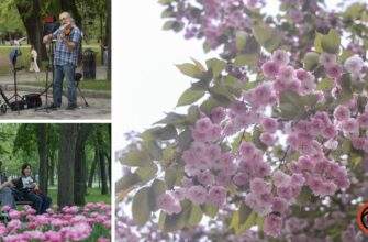 весняний фоторепортаж із парку Шевченка в Дніпрі