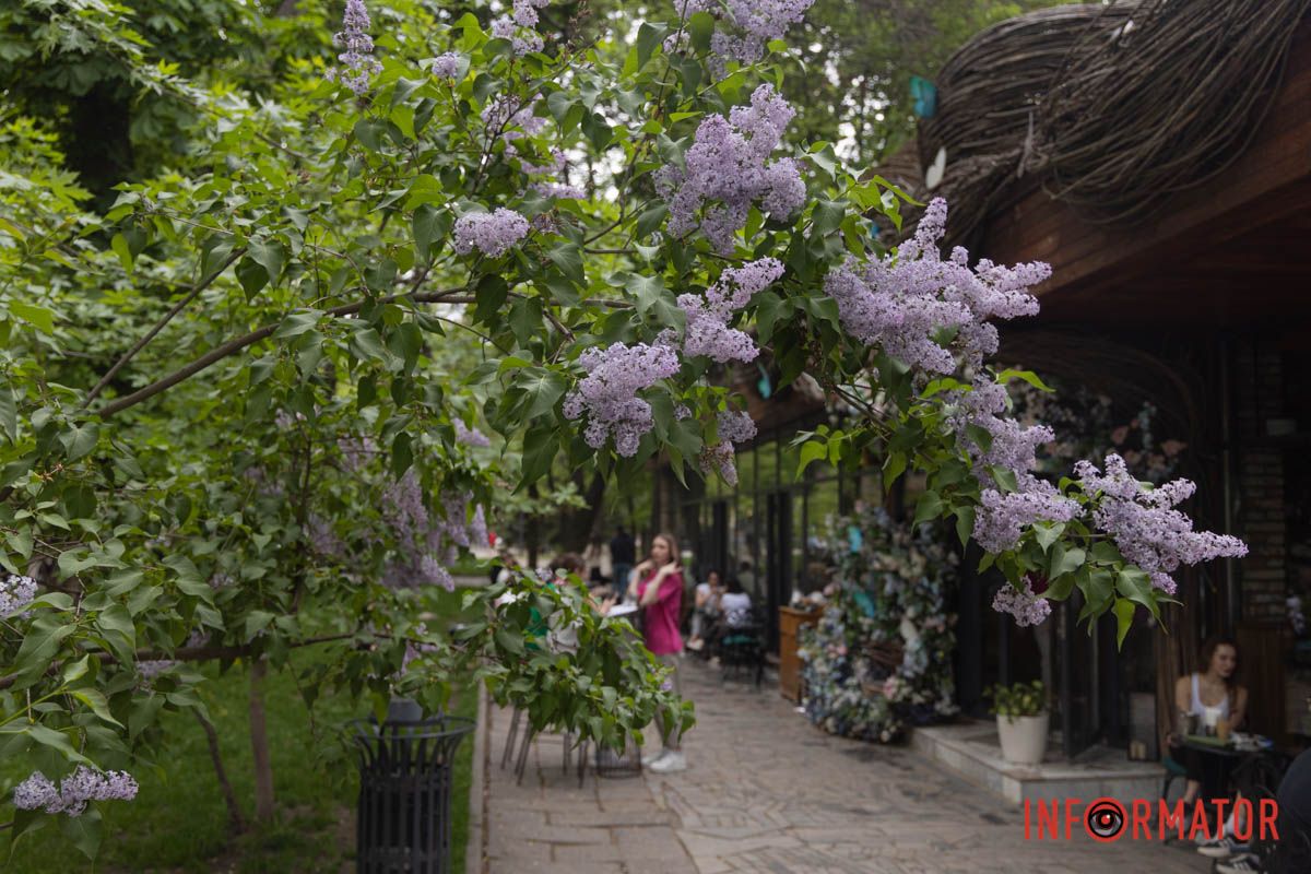 весняний фоторепортаж із парку Шевченка в Дніпрі