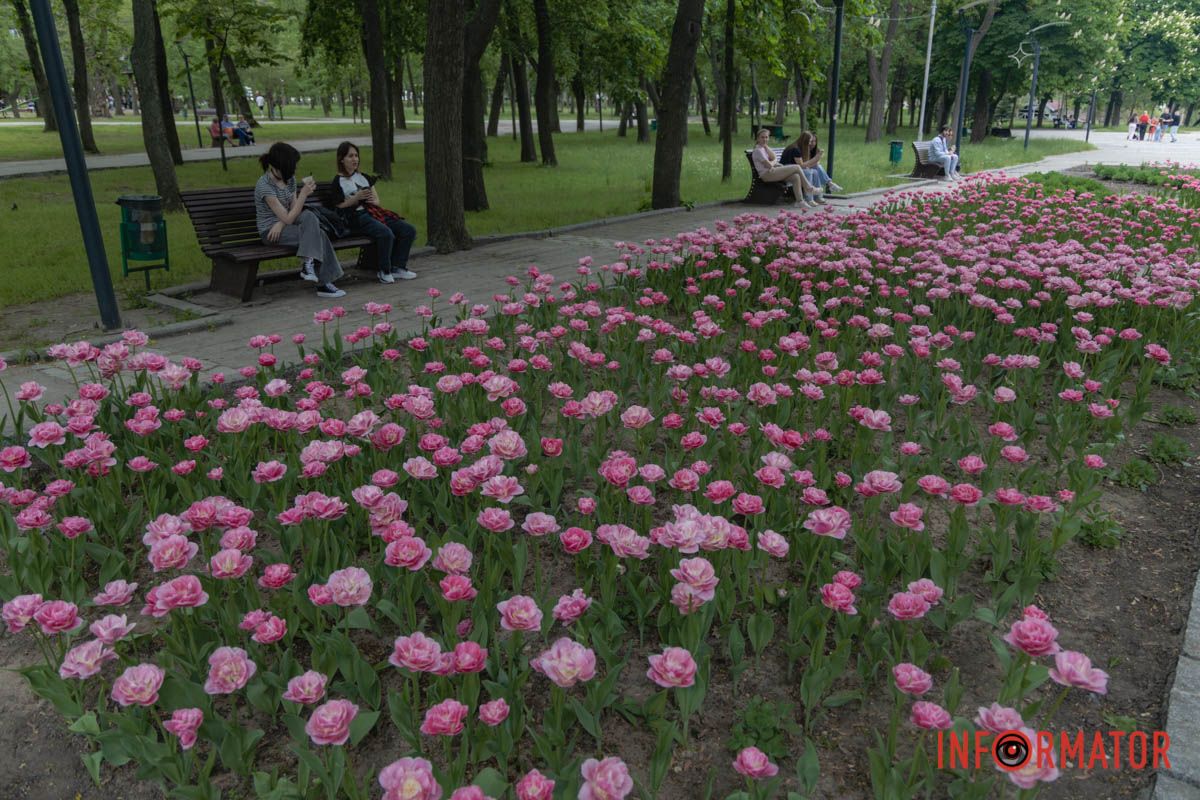 весняний фоторепортаж із парку Шевченка в Дніпрі