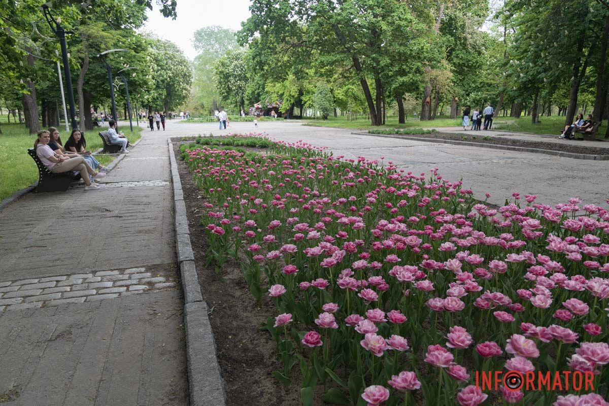 весняний фоторепортаж із парку Шевченка в Дніпрі