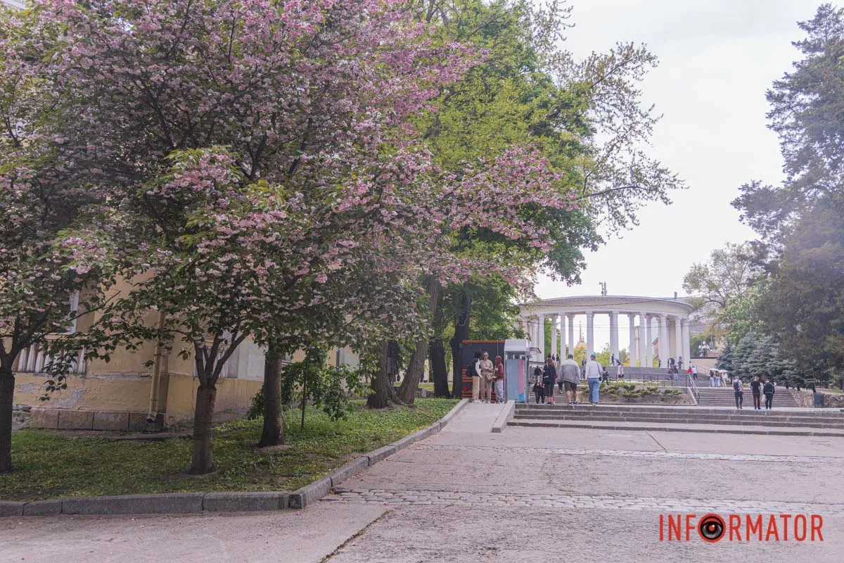 весняний фоторепортаж із парку Шевченка в Дніпрі