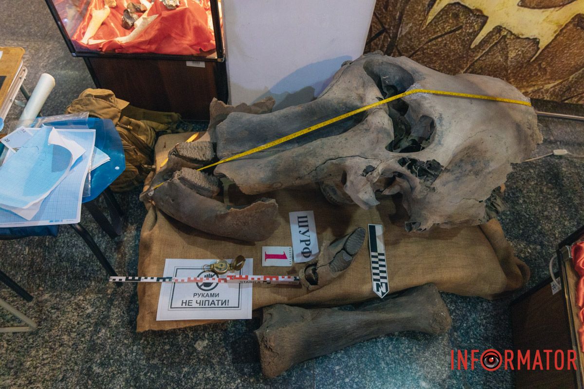 як у Дніпрі відзначили «Ніч музеїв»