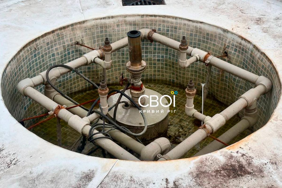 У Кривому Розі на очах у дитини собаку вбило струмом у міському фонтані