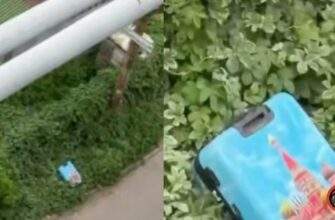 територію відгородили, деталі від поліції
