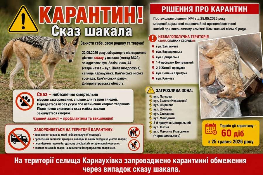На Дніпропетровщині скажений шакал напав на людей: селище закрили на карантин