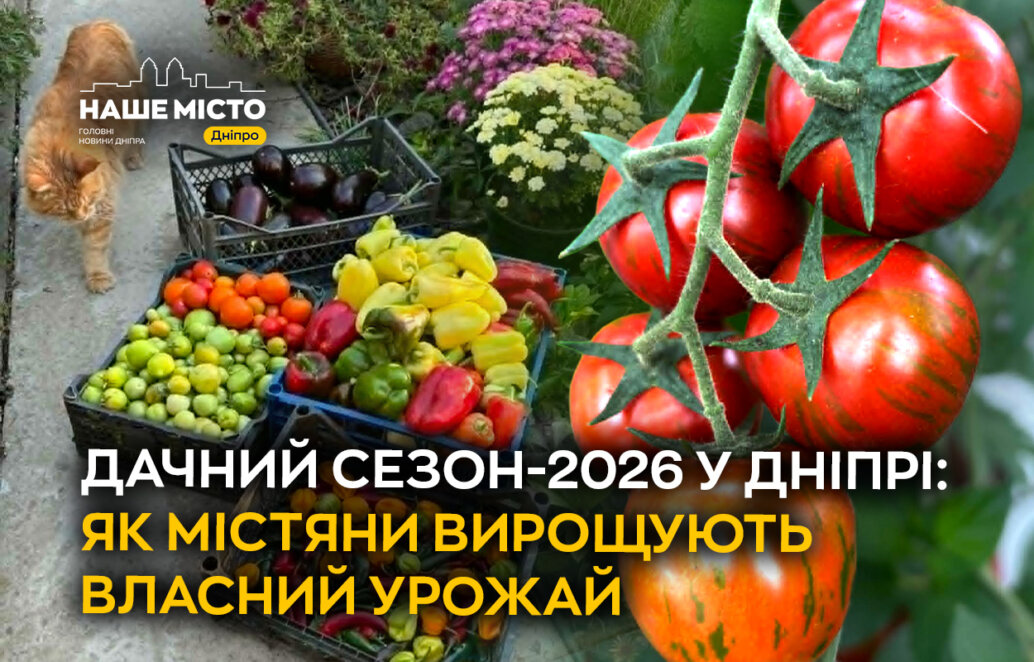 Дачний сезон-2026