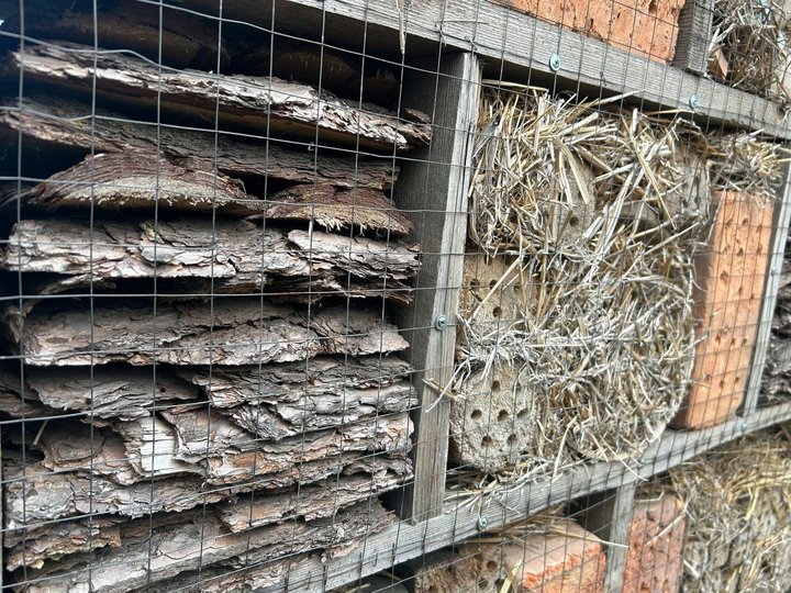 На Дніпропетровщині створили готель для комах, щоб рятувати сад