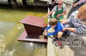У Дніпрі в парку Глоби встановили унікальні будиночки для качок