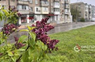 Прогноз погоди у Дніпрі на сьогодні, 14 травня 2026
