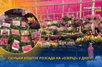 Скільки коштує розсада на «Озерці» у Дніпрі у травні 2026