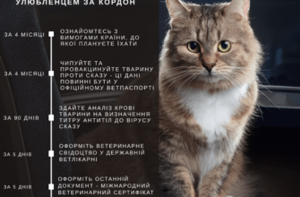 З тваринами можуть не пустити в ЄС: про оновлені процедури розповіли у Дніпрі