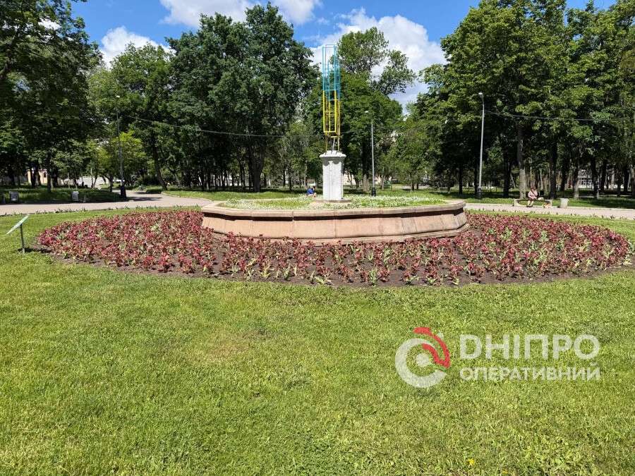 У Дніпрі парки та сквери прикрашають тисячами бегоній (Фото)