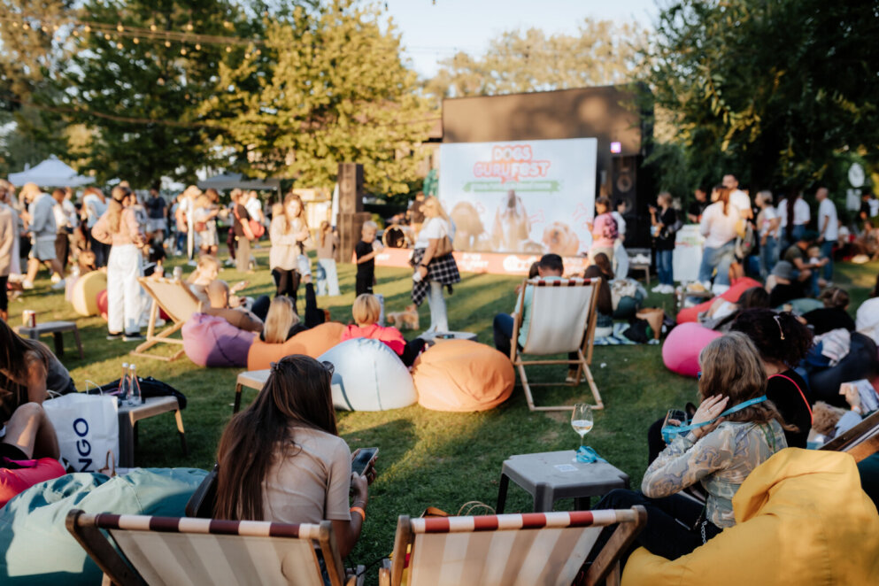 У Дніпрі перенесли фестиваль Dogs Guru Fest для собак та їхніх власників