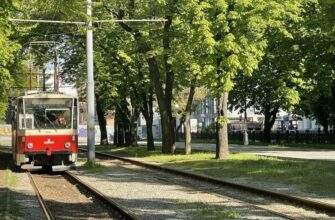 Частину обмежень скасовано: як працює громадський транспорт у Дніпрі