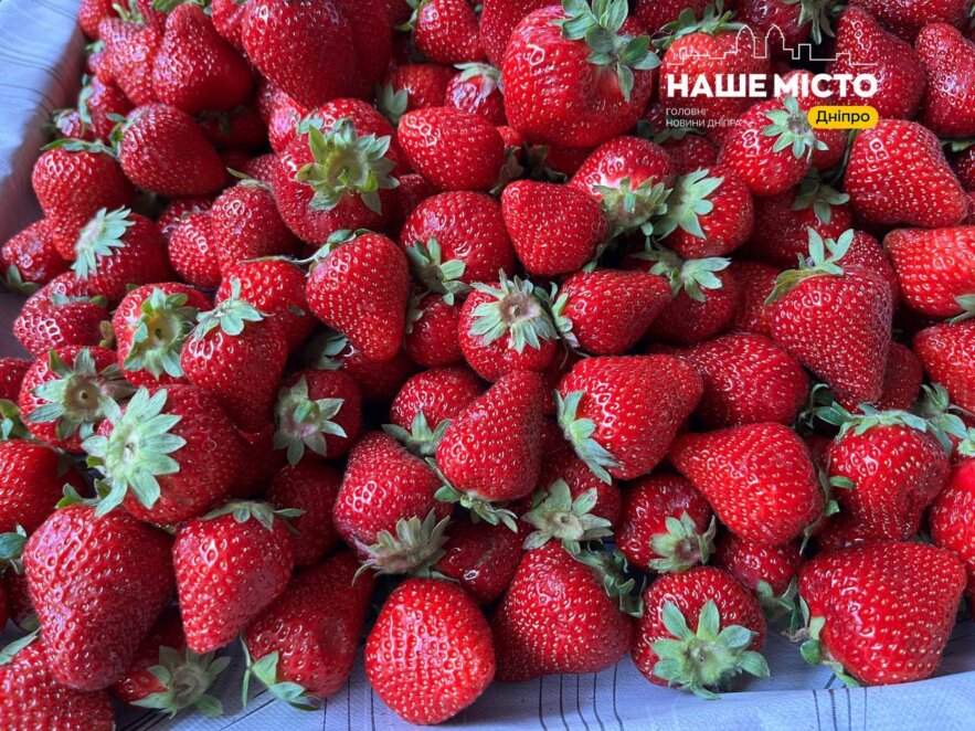 У Дніпрі з’явилась перша місцева полуниця за кусючою ціною - Наше Місто