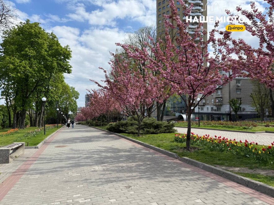 Безкоштовний тюльпановий фестиваль у Дніпрі