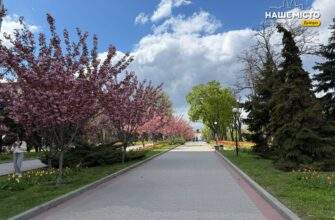 Уночі в Дніпрі лунали вибухи: ситуація на ранок 12 травня 2026