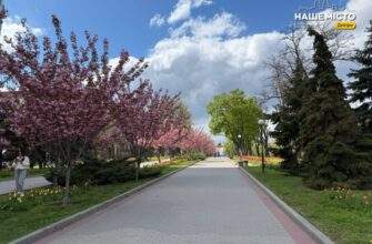 Яке сьогодні церковне свято: прикмети та забобони 8 травня