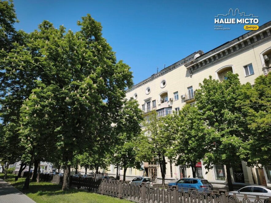 Цвітіння каштанів у Дніпрі 2026: фото