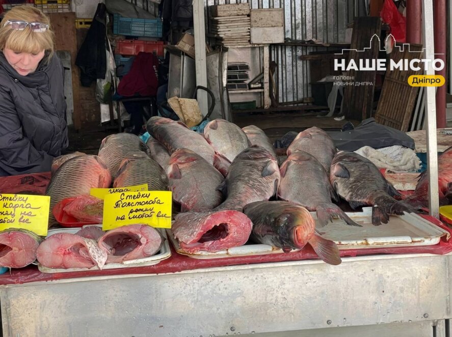 «Озерка» у Дніпрі: скільки коштують продукти у 2026 році. Новини Дніпра