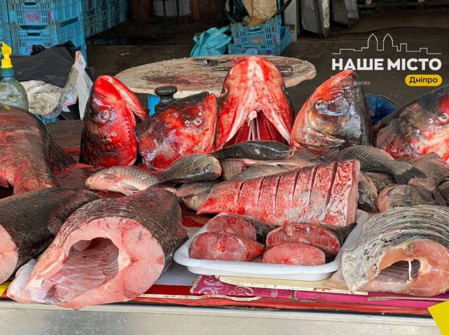 «Озерка» у Дніпрі: скільки коштують продукти у 2026 році. Новини Дніпра