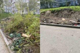 У Дніпрі продовжують прибирати території за заявками мешканців