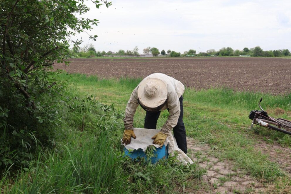 Дніпровські студенти реалізують дослідження петриківського розпису, 25 травня 2026