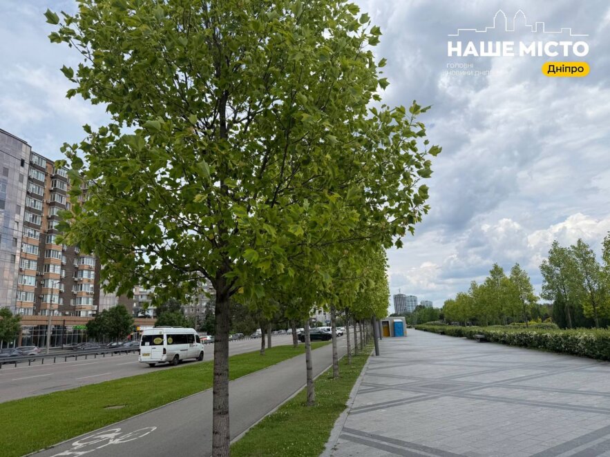 Тюльпанове дерево зацвіло у Дніпрі 2026- Наше Місто
