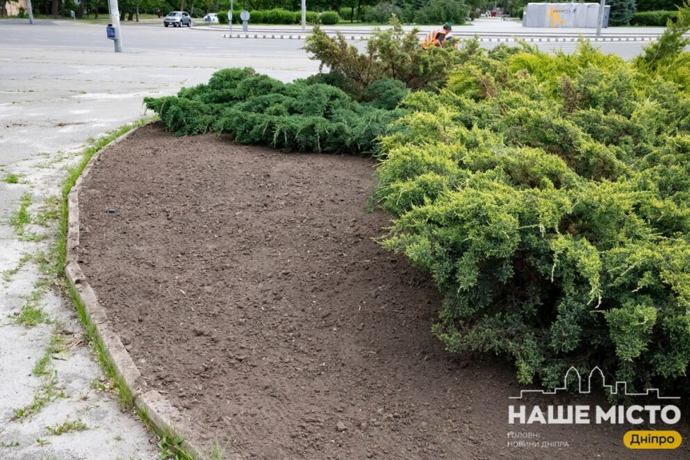 У Дніпрі доглядають за зеленими зонами: роботи 27 травня 2026 року