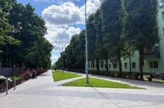 Фарбують, озеленюють, запускають полив: як змінюється зона відпочинку по вул. Інженерній у Дніпрі