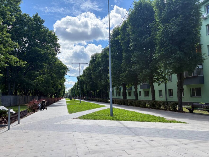 Фарбують, озеленюють, запускають полив: як змінюється зона відпочинку по вул. Інженерній у Дніпрі