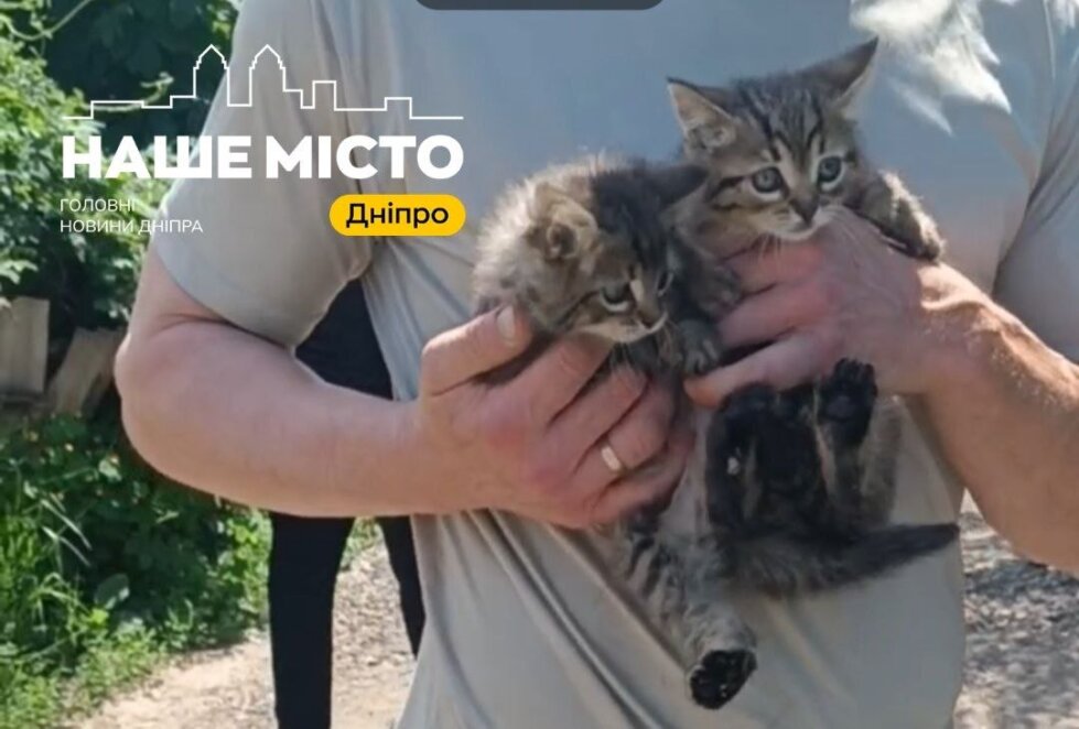 Евакуація тварин з Донеччини - Наше Місто