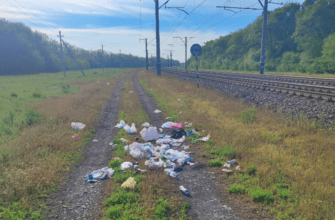 "Гниди”: провідники потягів викликали обурення на Дніпропетровщині