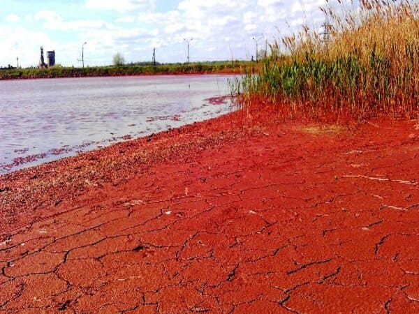 На Дніпропетровщині існує унікальне «рожеве озеро»: що відомо, 26 травня 2026