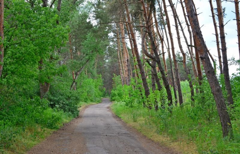 Гастровідпочинок на природі: де у Дніпрі влаштувати пікнік, травень 2026
