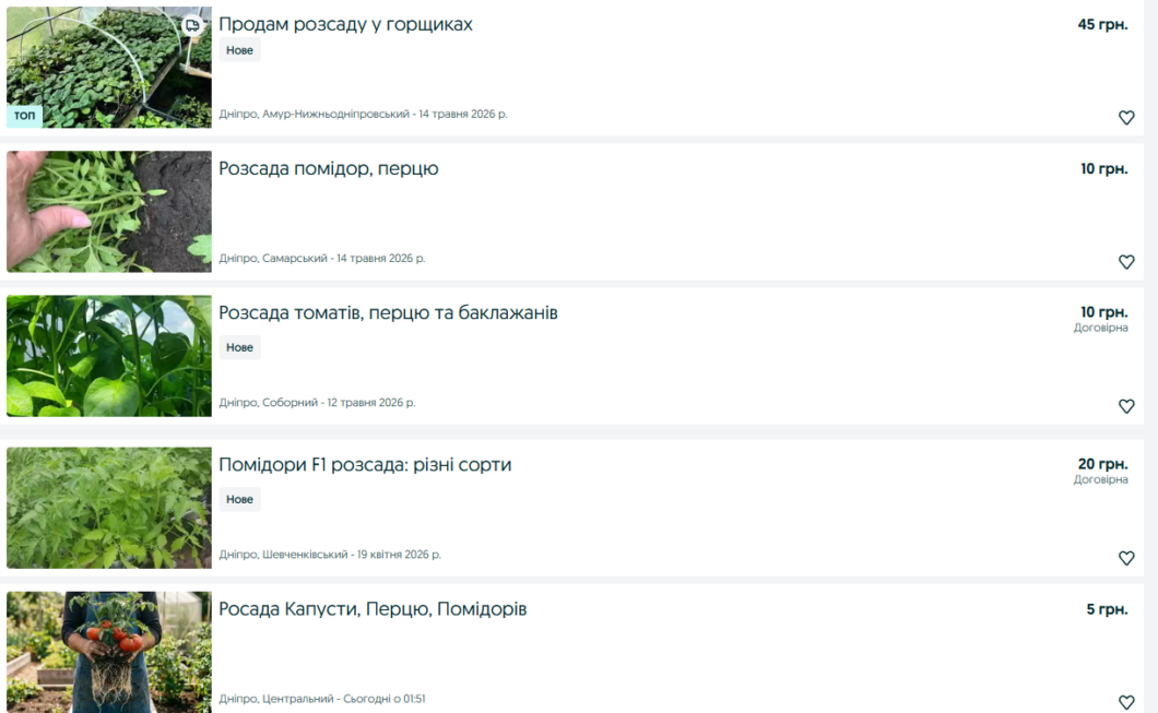 Купити овочі чи виростити самостійно: що вигідніше у 2026 році