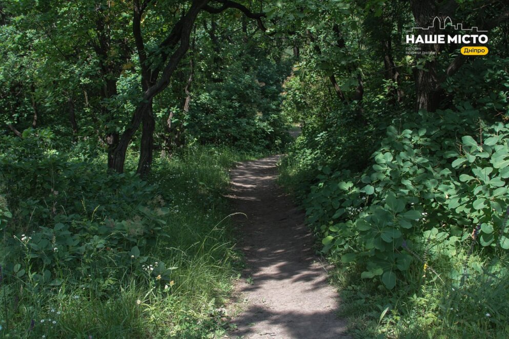 Гастровідпочинок на природі: де у Дніпрі влаштувати пікнік, травень 2026