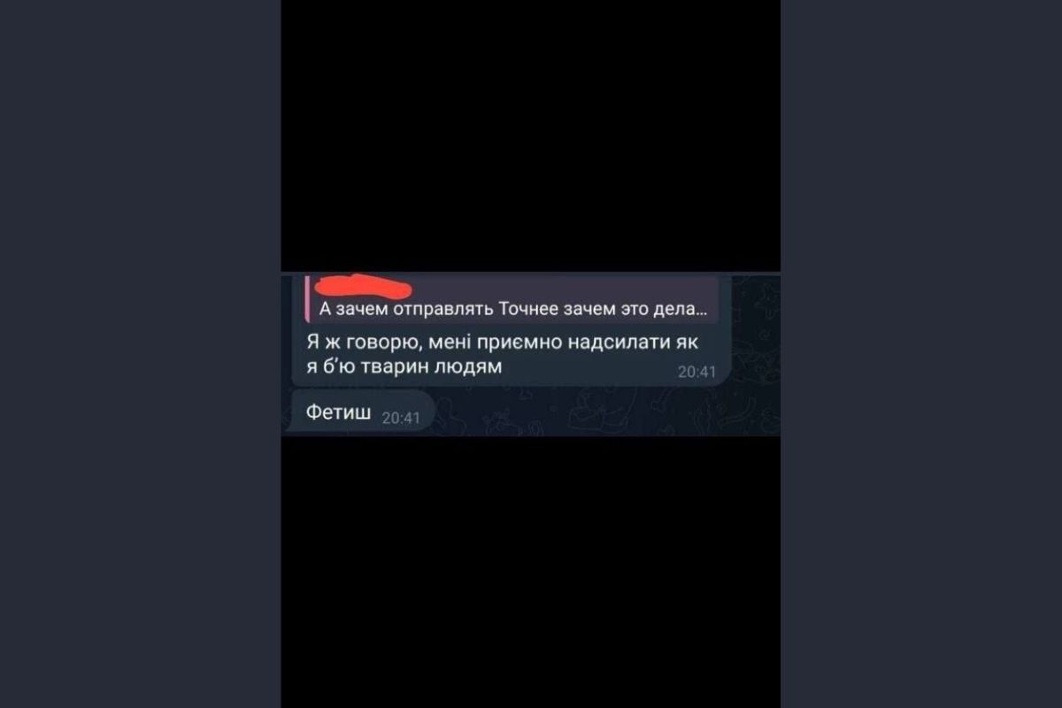 у Павлограді неповнолітня дівчина знущається з котів та хизується цим