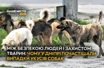Укуси собак у Дніпрі 2026: причини нападів