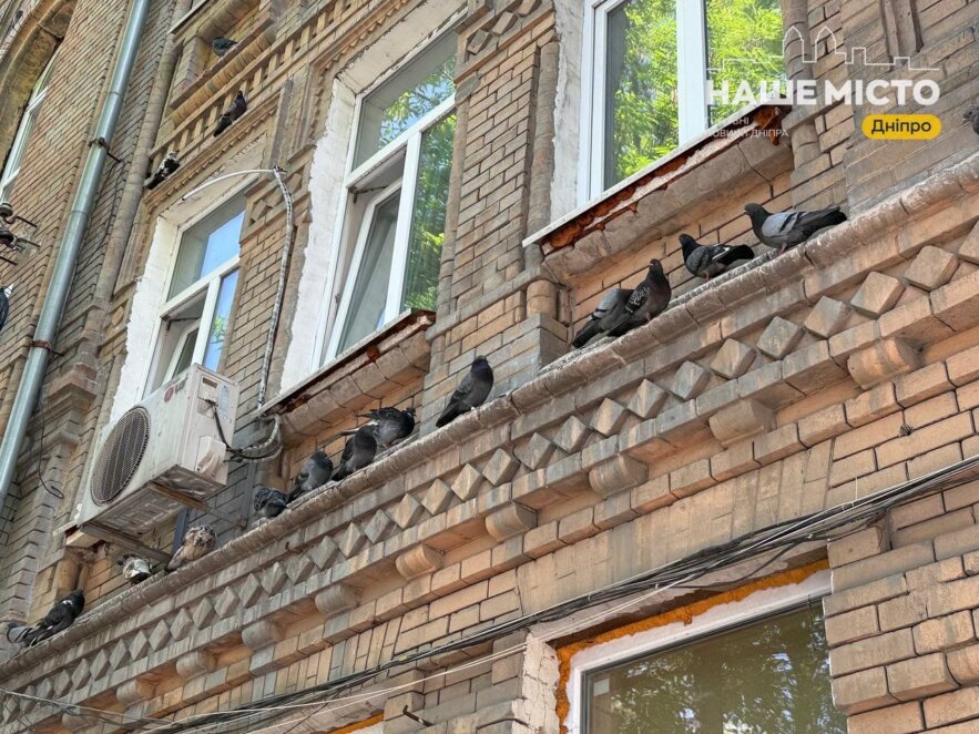 Пекарня, що пережила Другу світову війну Пекарня, що пережила Другу світову війну